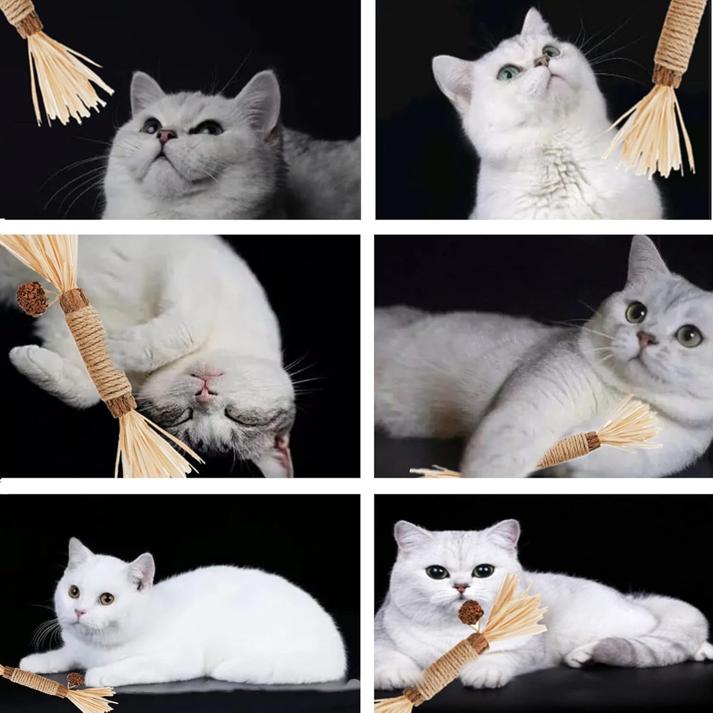 SKY-TOUCH 3 PCS Natural Silvervine Sticks Cat Toy, Catnip Dental for Kitten Teeth Cleaning, Silvervine Chew Stick for Cat & Kitten