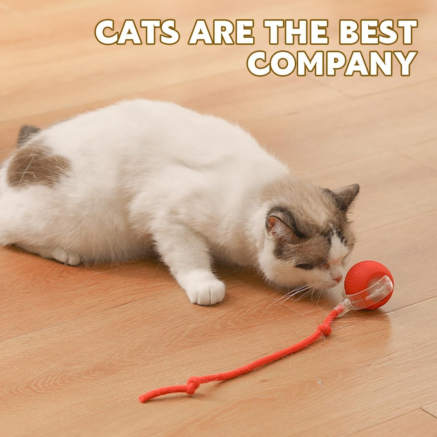 SKY-TOUCH Interactive Cat Toys Ball, Automatic Interactive Ball Toys Fast Rolling on Carpet, Chirping & Motion Activate, Durable High Bounce Floating Rubber Dog Ball with LED Light for Cats, Red