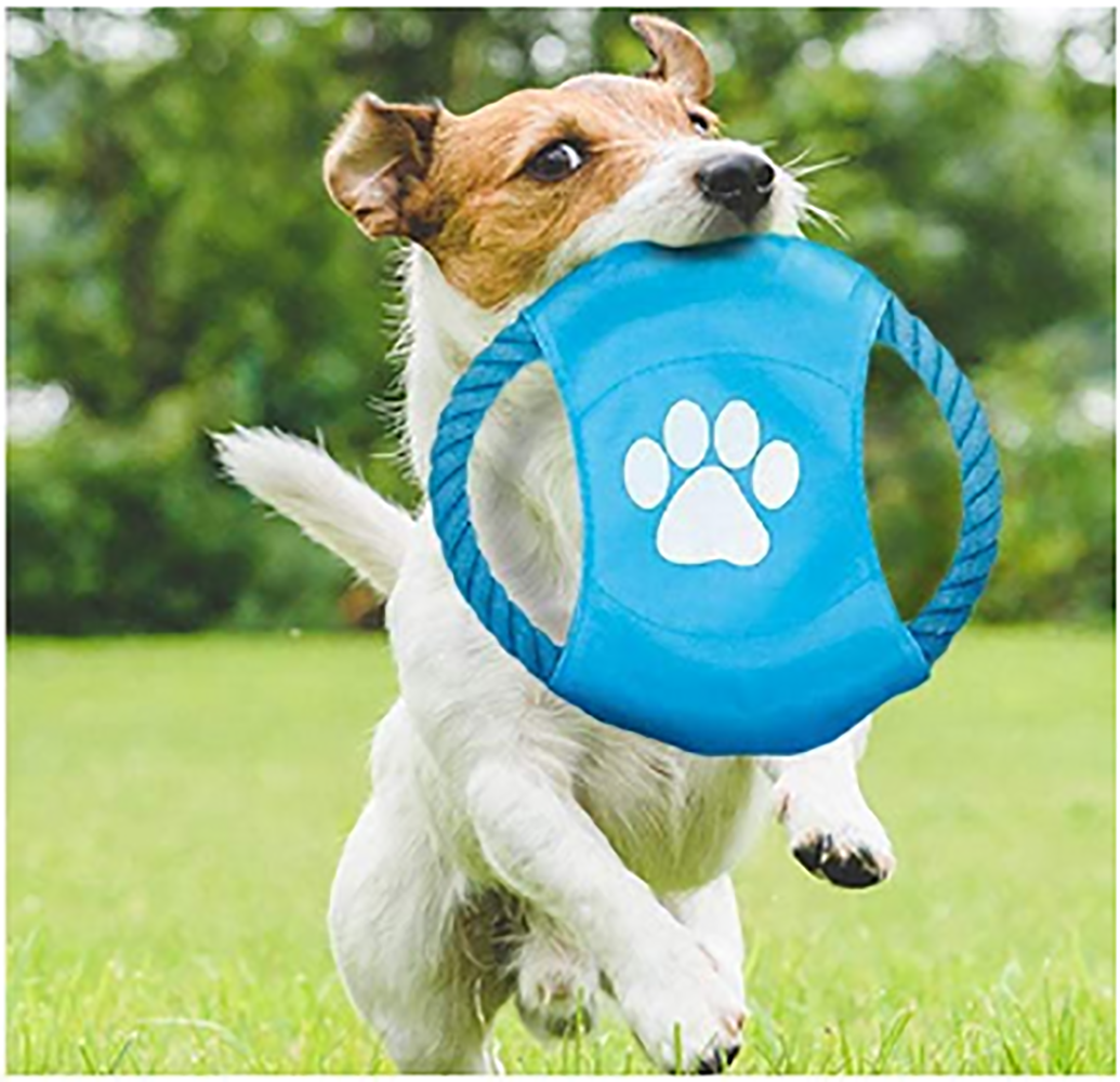 SKY-TOUCH 10pcs Pet Cotton Rope Dog Toy£¬Pet Puppy Toys Gift Set Combination Ball Doll Carrot Pattern£¬Harmless Puppy Chew Teeth Training Toys for Dog Cat Colorful