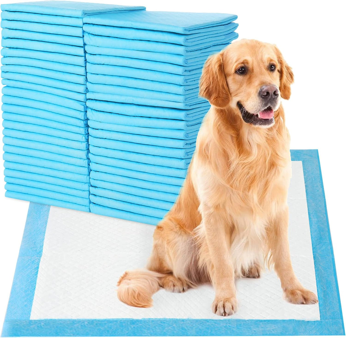Sky-Touch Disposable Absorbent Quick Drying Leak-Proof Pee Pads For Potty Training For Pets, 60X60Cm L - 40 Pieces, Blue, L - 60X60Cm
