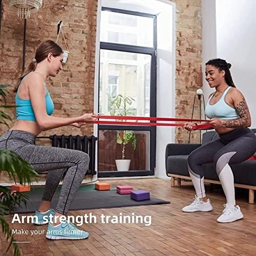 SKY-TOUCH Pull Up Assist Bands, Stretch and Mobility Bands for Resistance Training, Physical Therapy and Home Workout