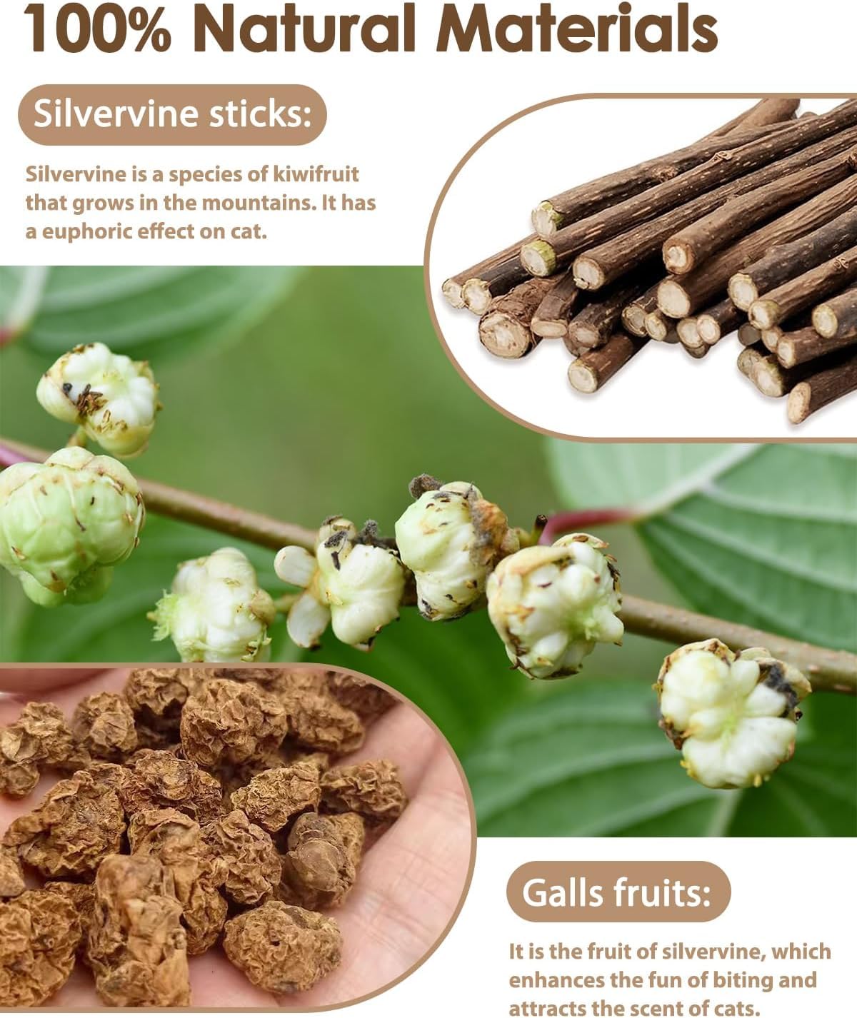 SKY-TOUCH 3 PCS Natural Silvervine Sticks Cat Toy, Catnip Dental for Kitten Teeth Cleaning, Silvervine Chew Stick for Cat & Kitten