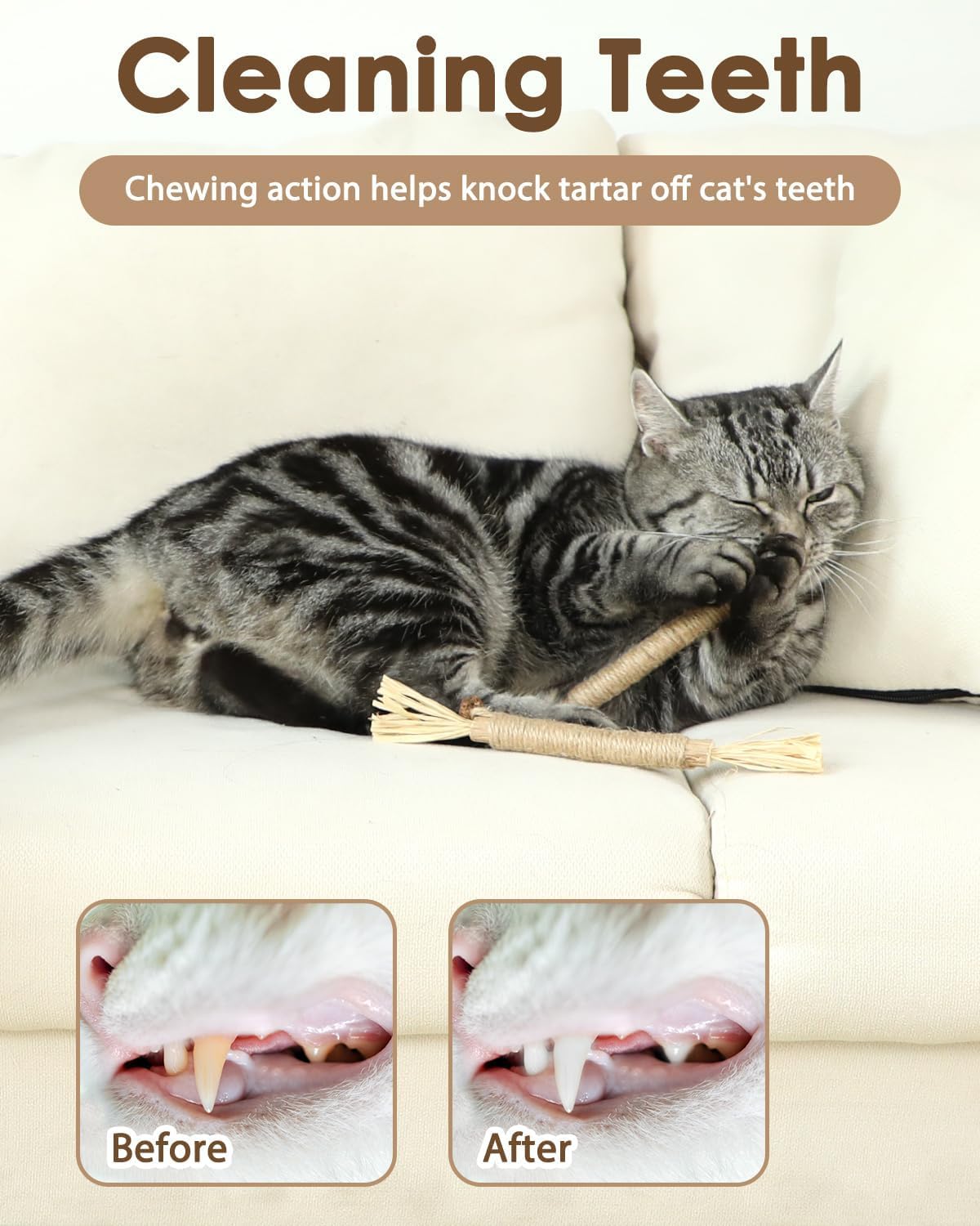 SKY-TOUCH 3 PCS Natural Silvervine Sticks Cat Toy, Catnip Dental for Kitten Teeth Cleaning, Silvervine Chew Stick for Cat & Kitten