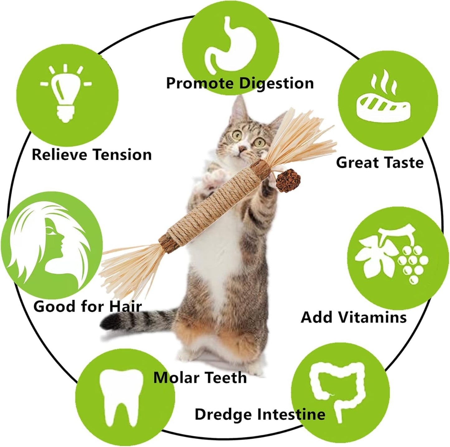 SKY-TOUCH 3 PCS Natural Silvervine Sticks Cat Toy, Catnip Dental for Kitten Teeth Cleaning, Silvervine Chew Stick for Cat & Kitten
