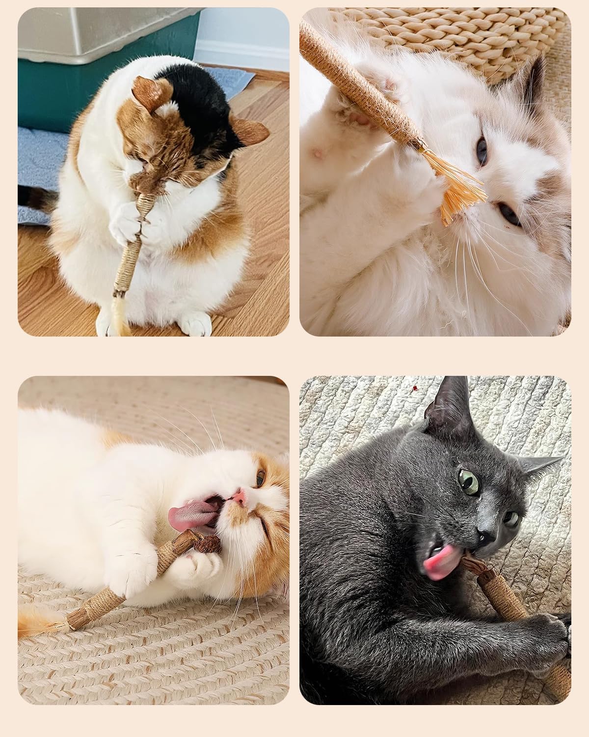 SKY-TOUCH 3 PCS Natural Silvervine Sticks Cat Toy, Catnip Dental for Kitten Teeth Cleaning, Silvervine Chew Stick for Cat & Kitten