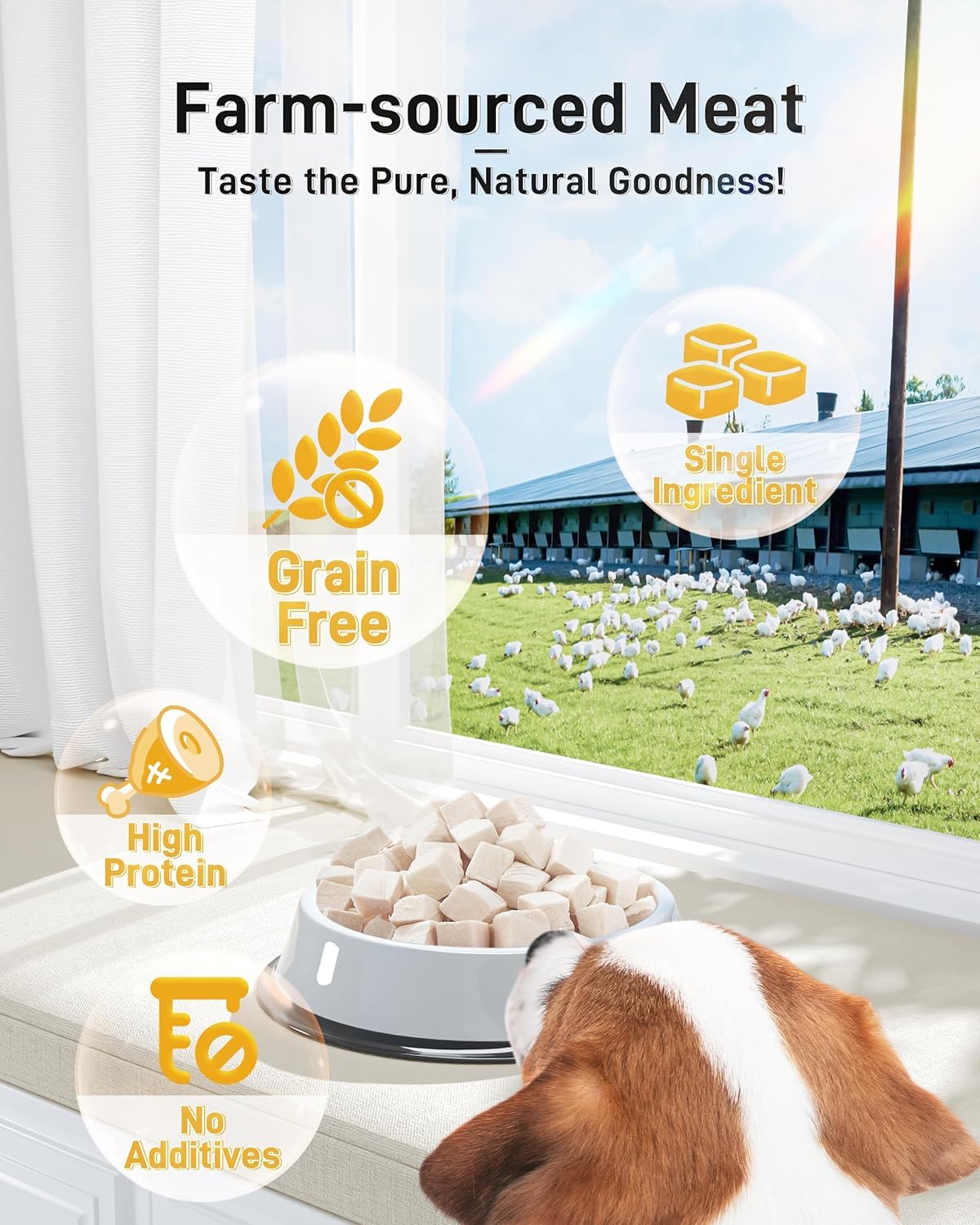 SKY-TOUCH FD Freeze-Dried Chicken Cubes 80g – High Palatability for Cats & Dogs, All-Natural, Raw, Grain-Free, Perfect for Training, Meal Toppers & Hydration Support