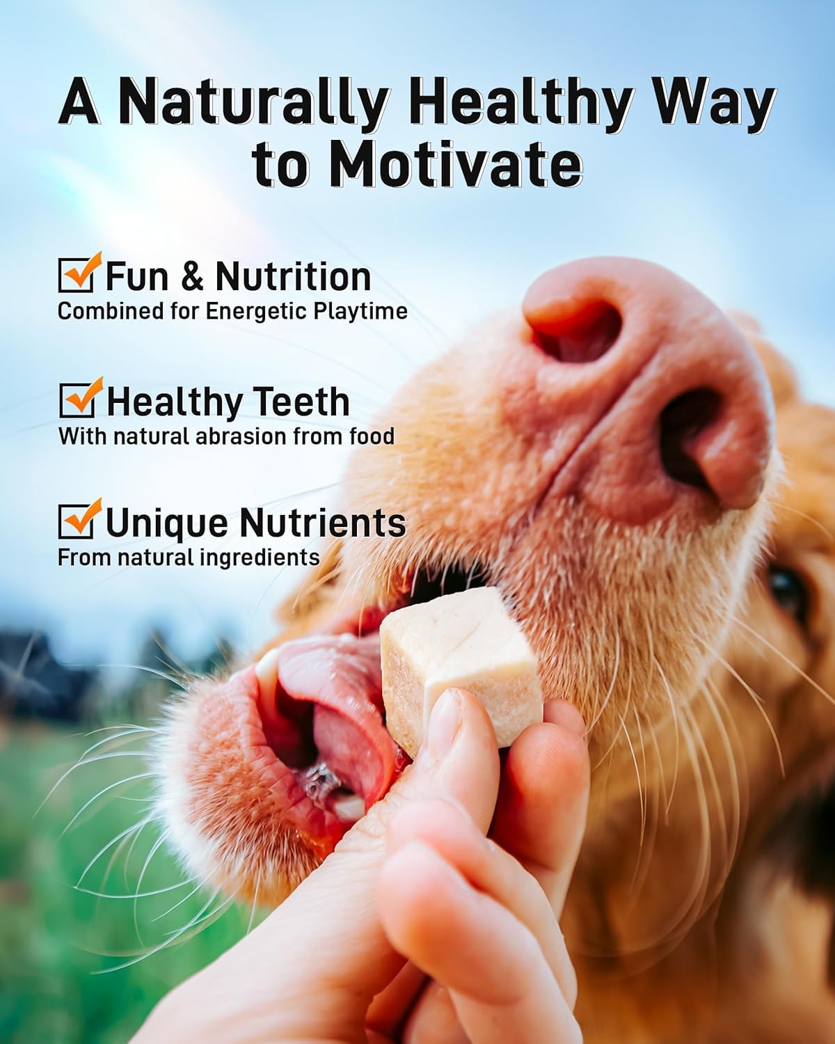 SKY-TOUCH FD Freeze-Dried Chicken Cubes 80g – High Palatability for Cats & Dogs, All-Natural, Raw, Grain-Free, Perfect for Training, Meal Toppers & Hydration Support