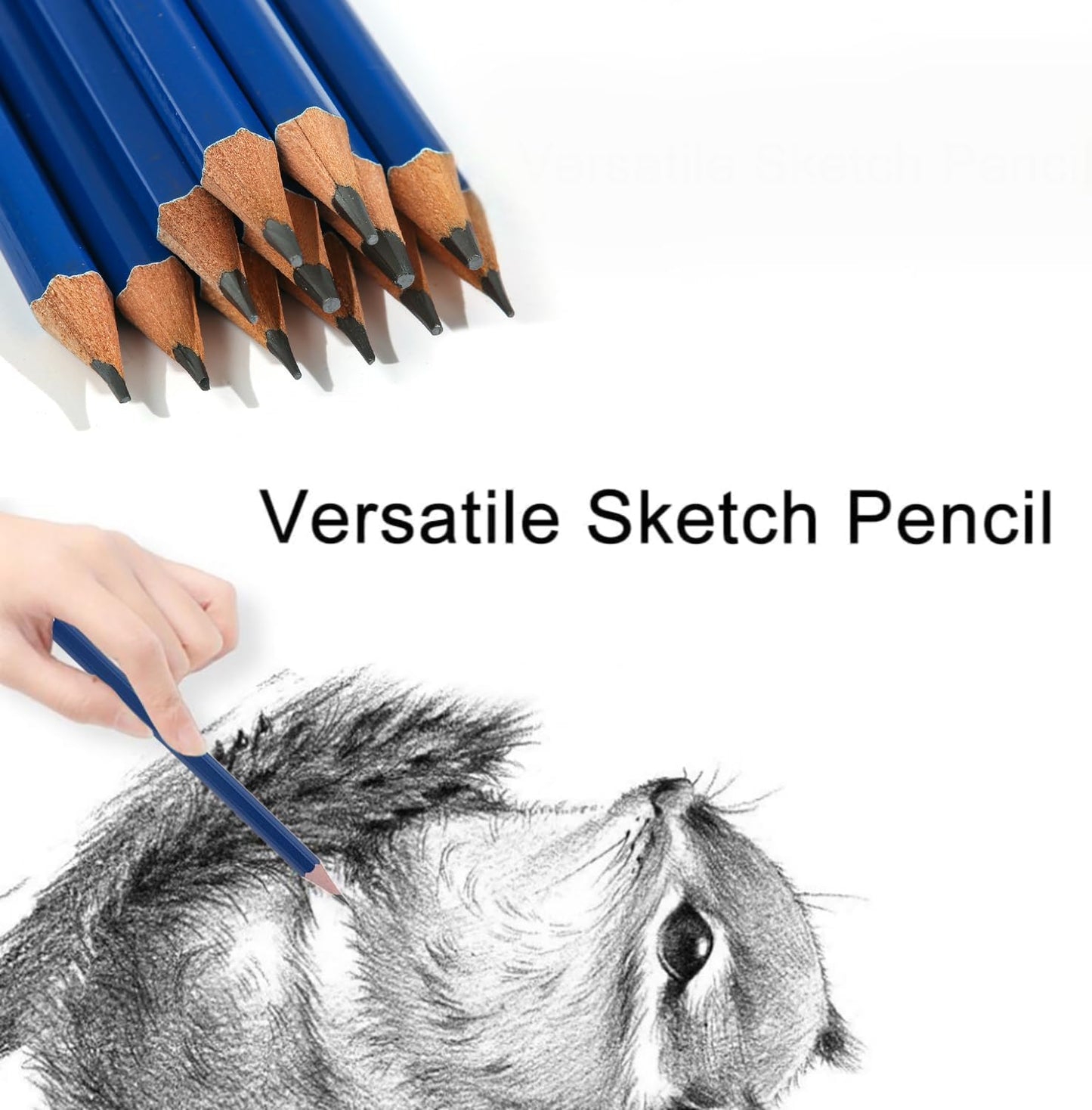 SKY-TOUCH HB Hexagonal Wooden Pencils, 12-Pack, Non-Toxic & Eco-Friendly, Perfect for Kids & Students, Smooth Writing for School & Drawing