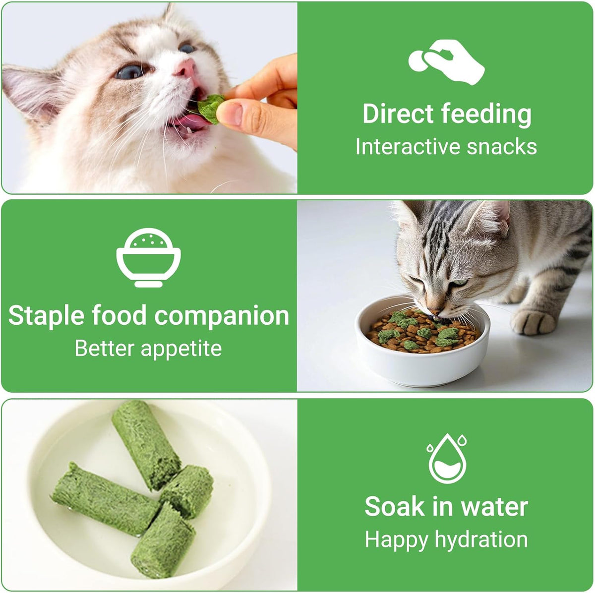 SKY-TOUCH 16 Pieces Cat Grass Treats for Cats, Edible Cat Chew Sticks Toys, Natural Dried Treats Snacks for Hairball Removal&Teeth Cleaning, Light Green - Increase Appetite,100g - 4