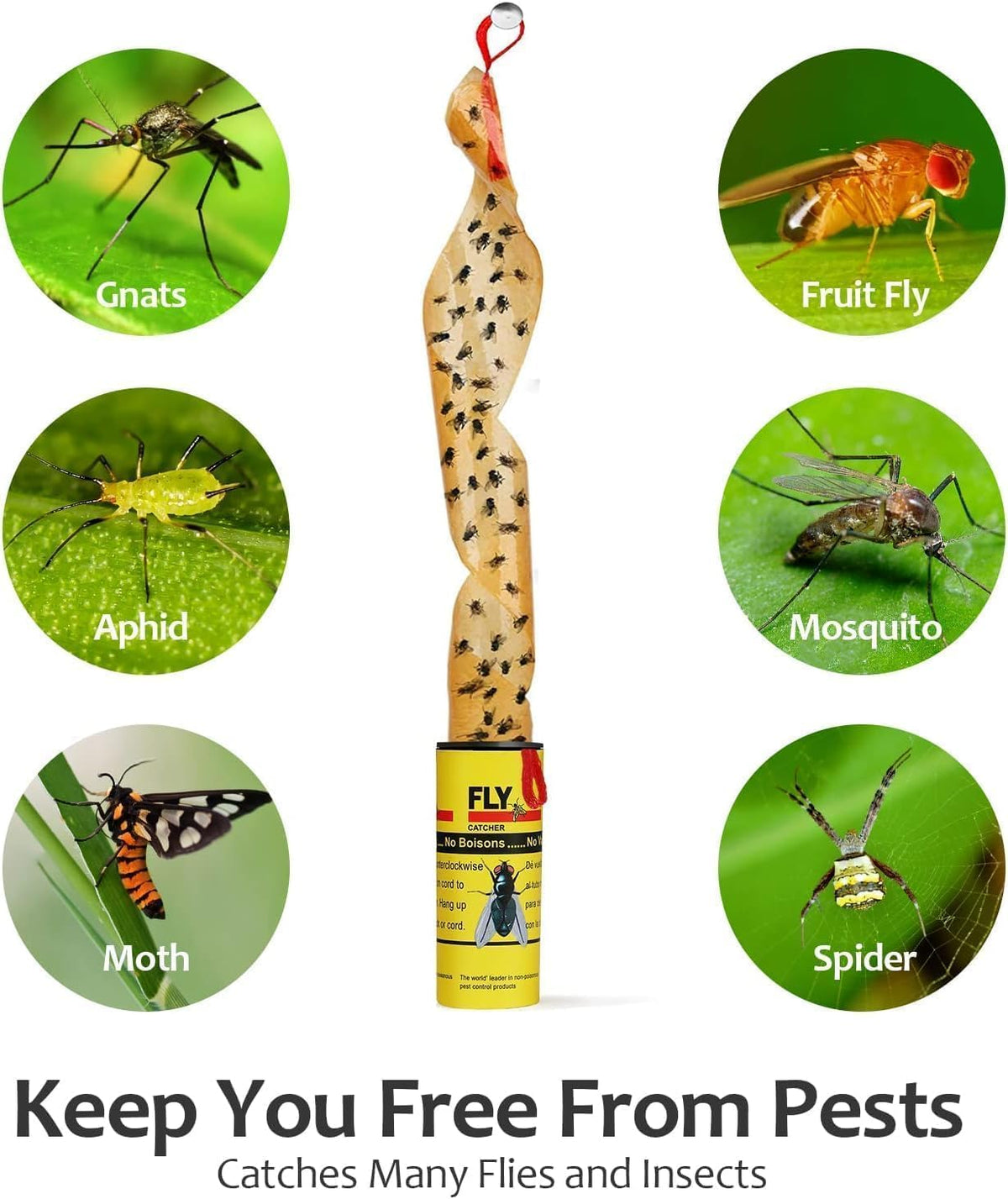 SKY-TOUCH 12 Pcs Sticky Fly Trap Indoor,Fly Traps Outdoor Hanging, Fruit Fly Trap Strips Tape Killer, Flying Insect Trap for Gnat, Insect,Mosquito,Suitable for home, kitchen, terrace. - 4