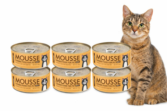 SKY-TOUCH 6Pack Wet Cat Food Can, Premium Cat Food Mousse 85g, Grain-Free Soft Pâté with Taurine, Vitamins & Minerals – High Protein Balanced Nutrition for Kittens & Adult Cats(Beef, Pack of 6)